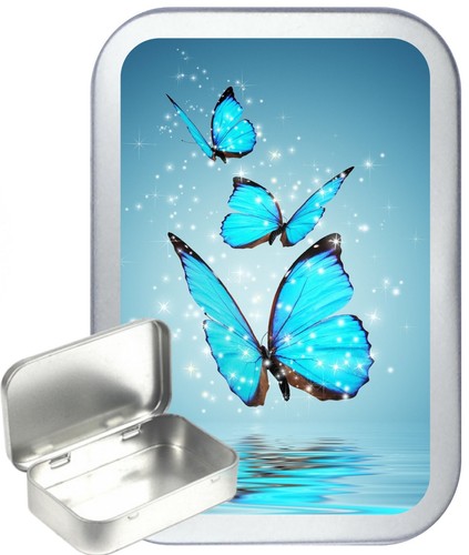 Blue butterfly pool silver - blue,