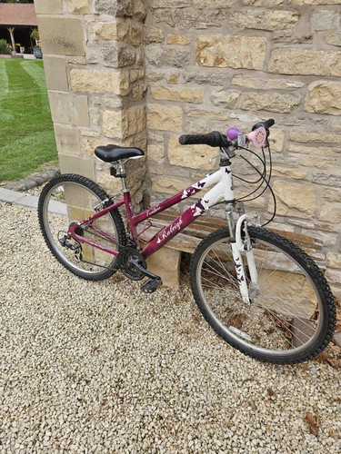 Ladies purple raleigh venture - raleigh,