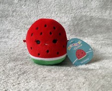 Winsey The Watermelon Micromallow Squishmallow