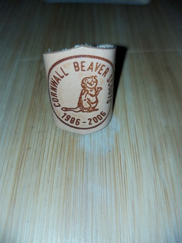 Scouting cornwall beaver - uk,