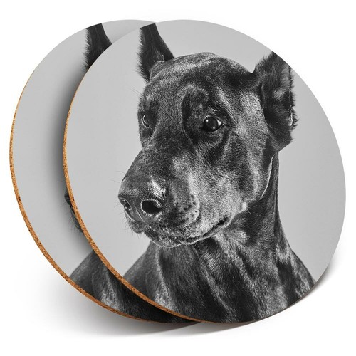 Coasters doberman dog - coasters, bw