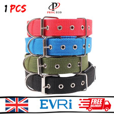Solid Nylon Dog Collar