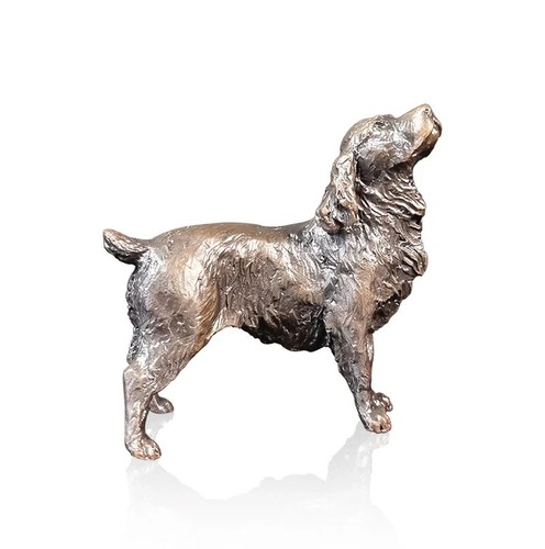 Cocker spaniel solid - solid, bronze