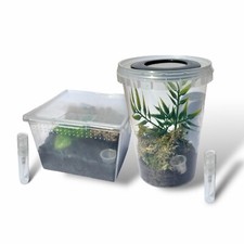 SPIDERLING KIT - TARANTULA & JUMPING SPIDER - Terrestrial/Arboreal