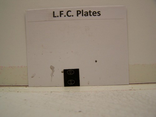 Lfc loco shed - loco,