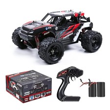 Remote Control Car 36KM/H High