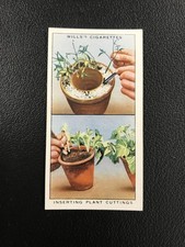 1938 Wills's Garden Hints #46