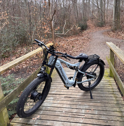 Dual motor fat tire e - dual, 26"