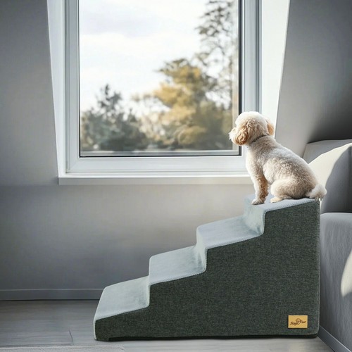 Steps pet dog - dog, with