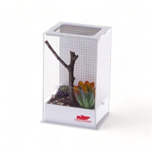 Micro vivarium starter habitat - starter,