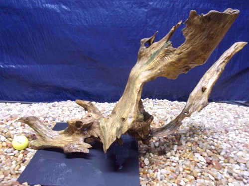 Large driftwood mounted - driftwood, on