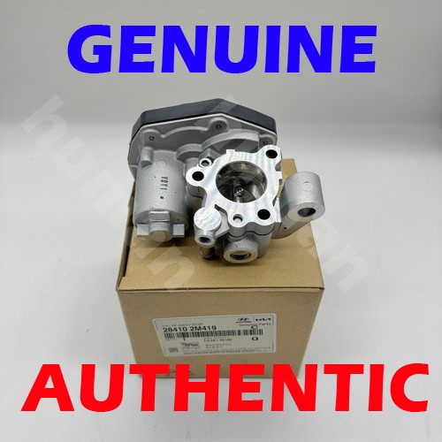 Genuine oem 284102m419 - oem, egr
