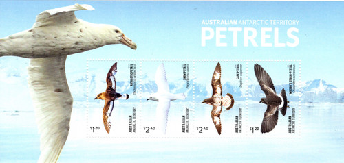 2024 australian antarctic - 2024,