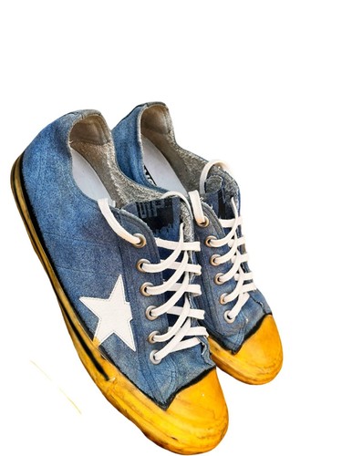 Golden goose star - goose, 2