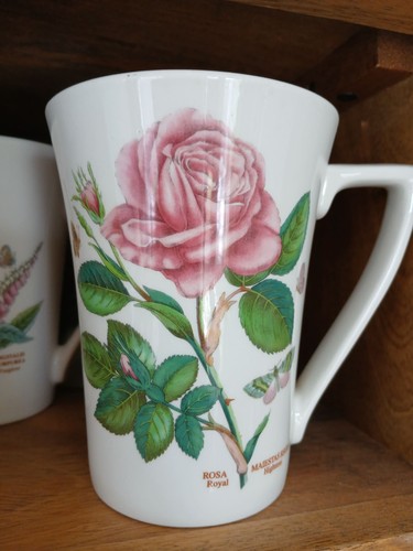 Portmeirion botanic garden - garden, mug