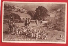 DEVON AND SOMERSET STAGHOUNDS