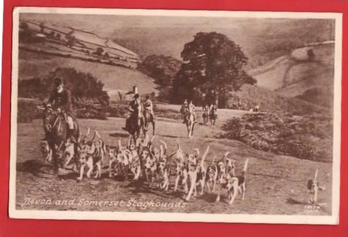 Devon and somerset staghounds - and,