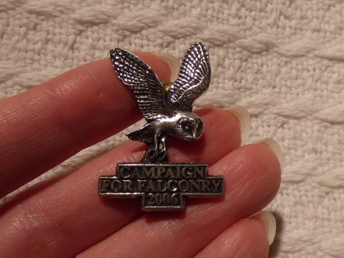 Campaign for falconry - campaign, 2006