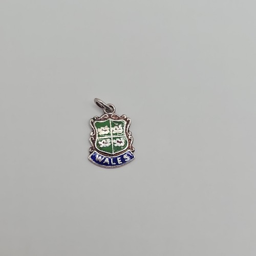 Silver enamelled wales shield - silver,