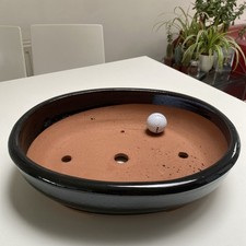 New large black glazed Bonsai