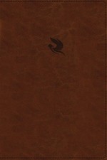 NKJV, Spirit-Filled Life