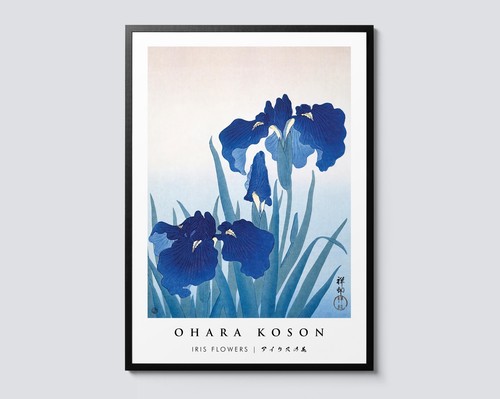 Iris flowers portrait ohara - flowers,