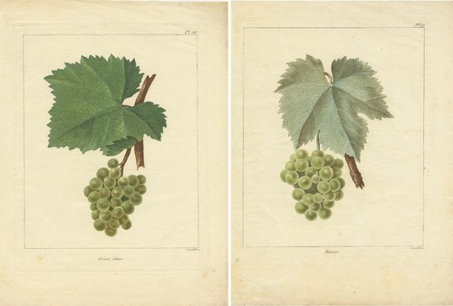 Set three antique - of,