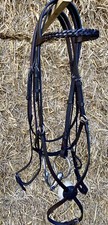 MEXICAN GRACKLE BRIDLE PLAITED