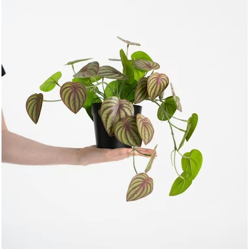 Blooming artificial 40cm - artificial,