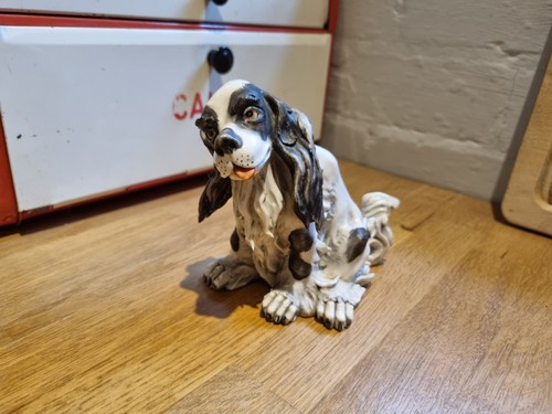 Border collie dog - border, ornament