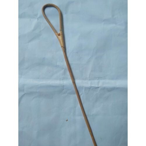 Cane stick 2pcs - stick, rattan
