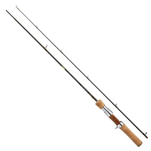 Daiwa baitcasting rod silver - baitcasting,