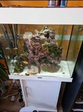 120 litre marine fish aquarium