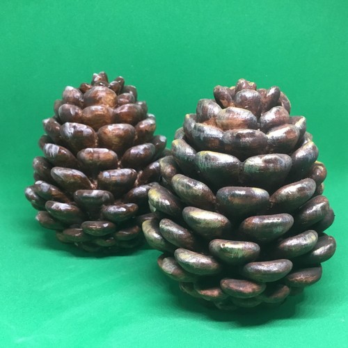 Set handmade pine cone - set,