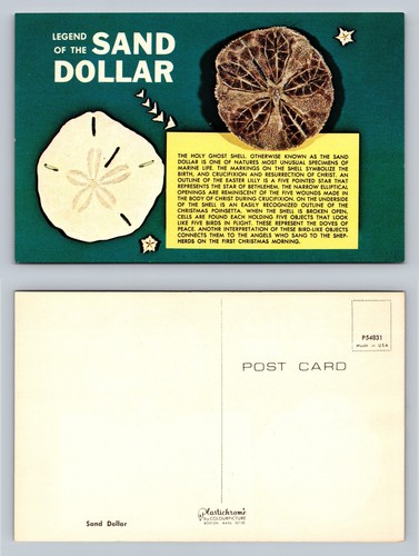 Legend the sand - sand, dollar