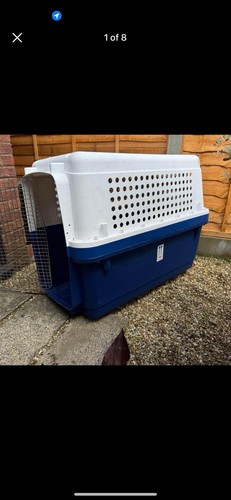 Airline approved pet - airline,