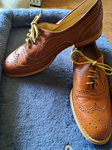 Odeon brown leather brogue - odeon,