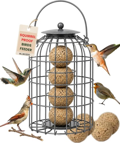 Squirrel proof fat ball bird - ball,