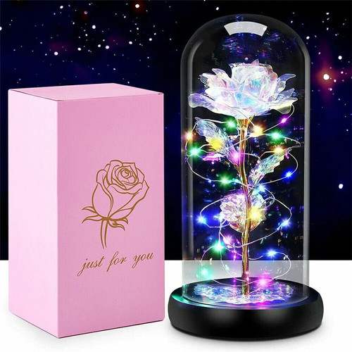 Galaxy rose flowers forever - rose,