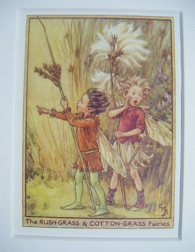 Vintage flower fairies print - flower, &