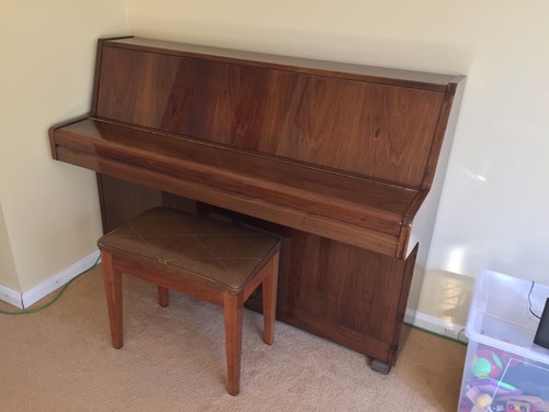 Small upright walnut - upright,
