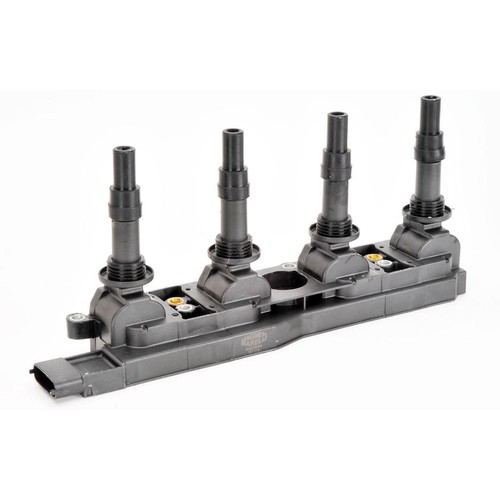 Fits magneti marelli - magneti,