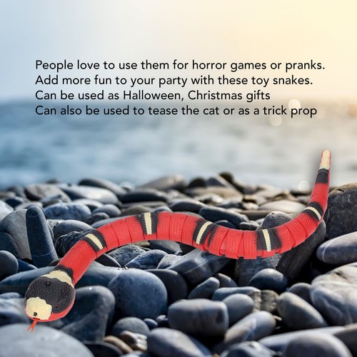 Remote control snake toy - control,