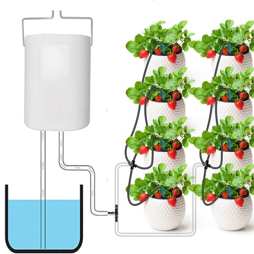 Garden automatic watering - garden,