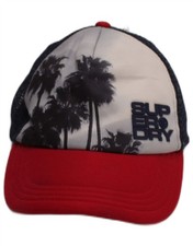 SUPERDRY Mens Graphic Trucker