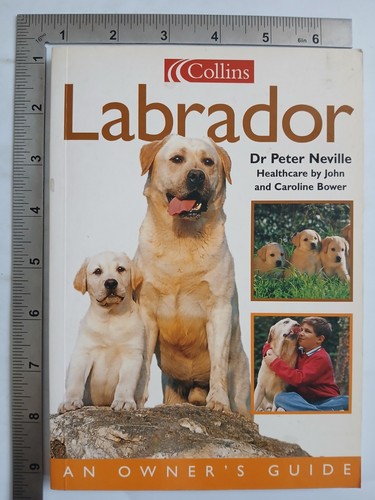 Labrador peter neville 1997 - dr,
