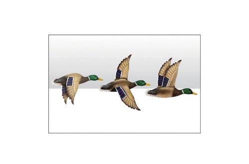 Set metal flying ducks - set,