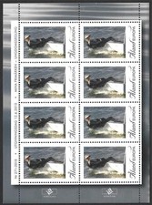 Aland Islands, 2010, SG#345, Boy Sailing Laser Radial, Europa, MNH Sheet #F8748