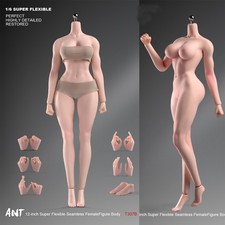 1/6 Female Big Bust Plump