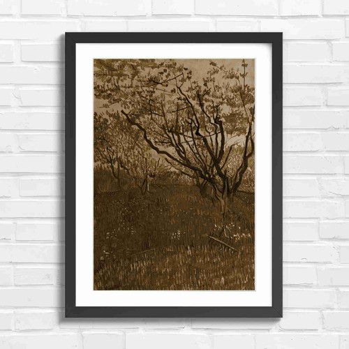 Blooming orchard trees - blooming, spring